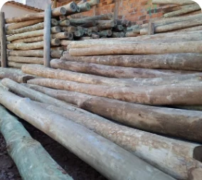 LASCAS E PALANQUES DE EUCALIPTO TRATADO